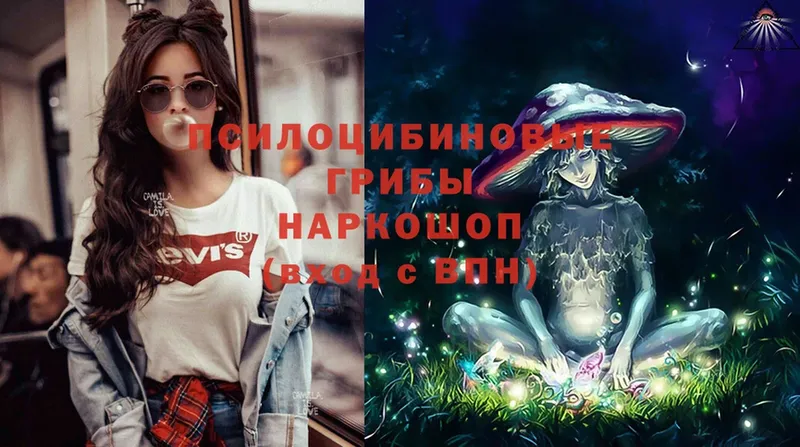 Псилоцибиновые грибы ЛСД  Нижние Серги 